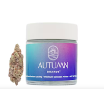 Smackers - Flower Jar - 3.5g - Autumn Brands