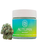 Chem Driver - Flower Jar - 3.5g - Autumn Brands 